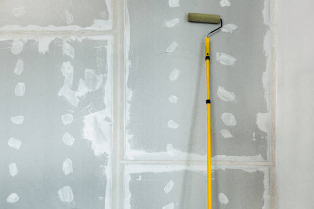 Best Drywall Sanding and Smoothing  in Elkhart, IN